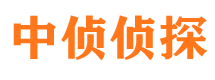 内乡婚姻外遇取证